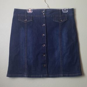 Ann Taylor Denim Jean Skirt